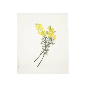 Gorse Hand Blocked Print