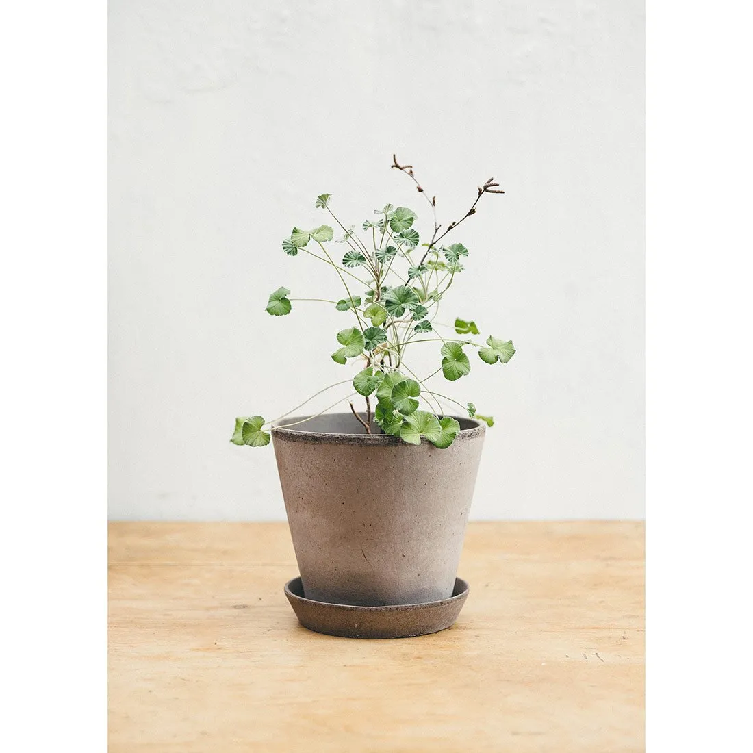 Rustic Antique Grey Plant Pot